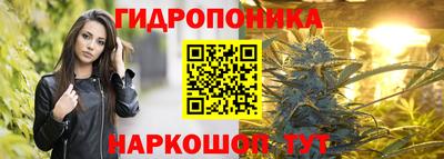 хмурый Малоярославец